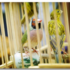 西仓 西仓 西仓 ……