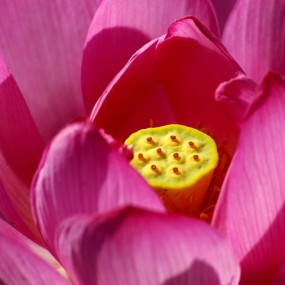 80-400VR拍荷一组