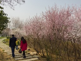 春到桃花潭