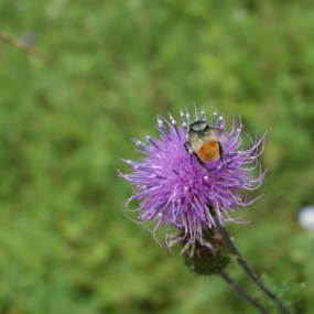 新人发图__求指正