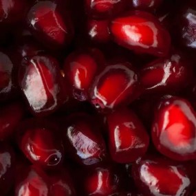 红红红红红红红红红红！