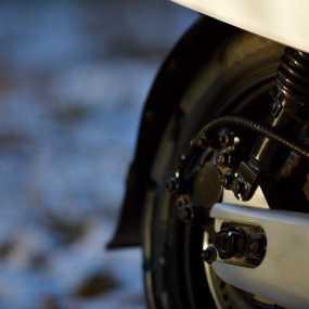 落日夕阳下的小牛