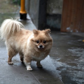 百无聊赖，买菜路上拍了几张