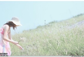 日系风格的一组照片——转自网易