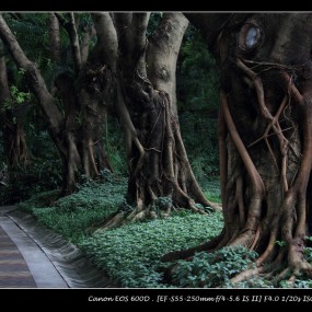 深圳出差归来之6： 东湖公园