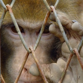 眼神是心灵的镜头