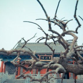 快来香积寺抢镜，看美女