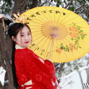 【踏雪寻梅】