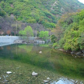 随拍，献丑了！嘻嘻