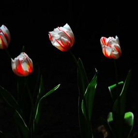 离怀别苦多少事