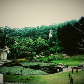 景