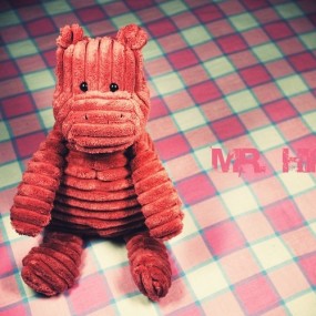 Mr.Hippo