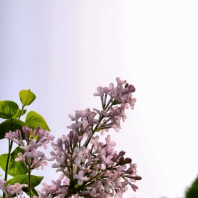 暖阳下的“舞动”