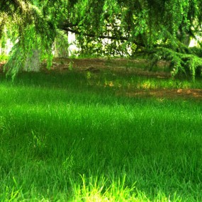 半坡湖酒店美景