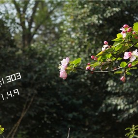 4.9 咸阳渭河公园