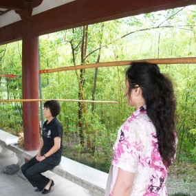 不知炼的什么功