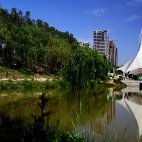 浐灞湿地公园小景