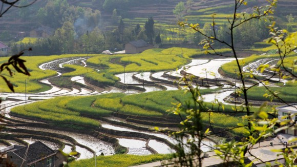 汉阴堰坪油菜花