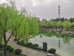 万条垂下绿丝绦（手机版）