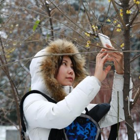 美女赏雪