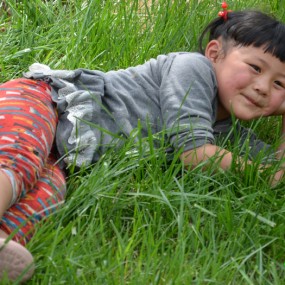 世园参赛作品--大宝小宝. 我爱青青草