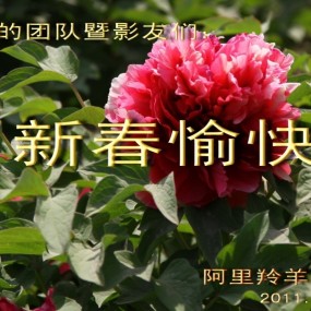 新年愉快