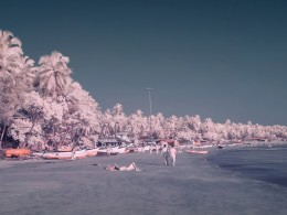 梦幻迷人的红外影像｜摄影师Nimit Nigam