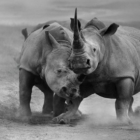 2012年第47届美国加利福尼亚国际摄影展