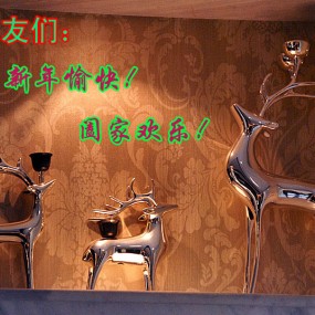 样板间拍静物