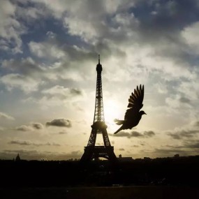 过去一周中，那些最触人心扉的照片