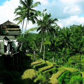 巴厘岛一路向北景点篇