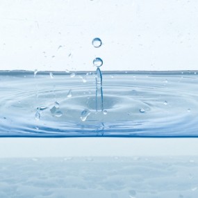 给小可交个作业