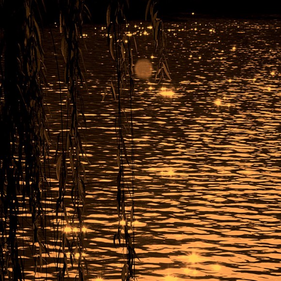 拂堤杨柳醉春烟