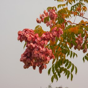 环城公园秋日小景