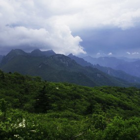 秦岭顶