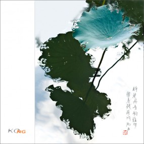 留着残荷听雨声