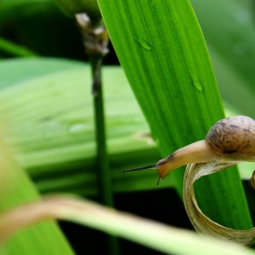 我的家在哪里？？？