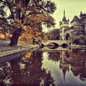 Zoltan Koi 光影作品