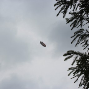 出去练练手，拍的不好