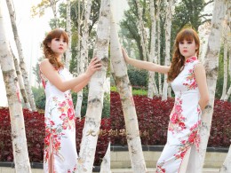 白桦林间的旗袍靓妹