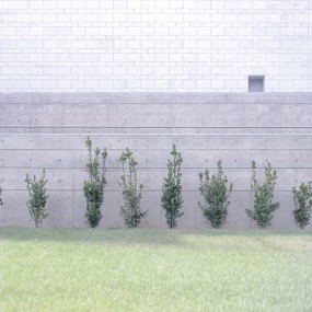 Peter Zeglis 宁静的城市　