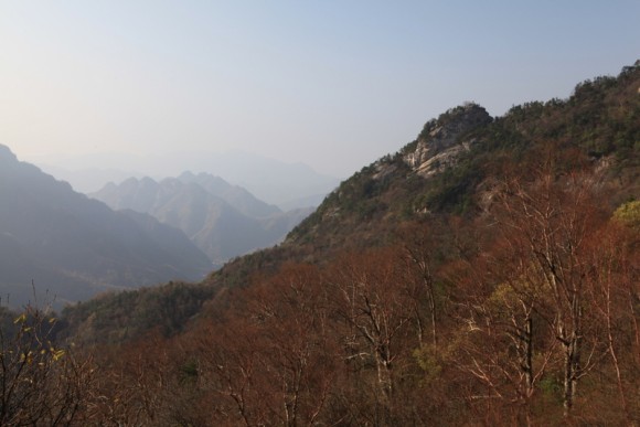 老袁习作：''秦岭草甸''