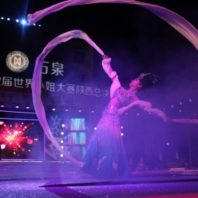 世界小姐陕西赛区才艺金奖耿瑶