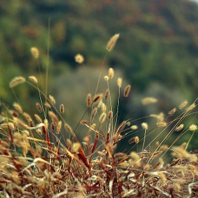 深秋一路北上1--三原、耀州行