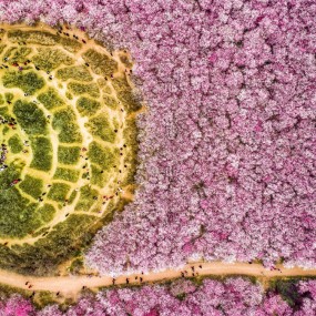 【枫聆映画】---明秦王陵墓遗址