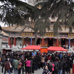 大兴善寺施舍腊八粥人头攒动寺院如赶集