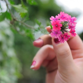 好吧，我也去了成都