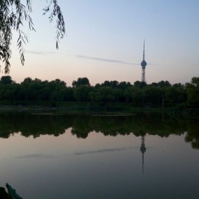 夏末荷塘荷花少，夕阳相伴美景多