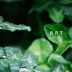 五月十号西安有雨