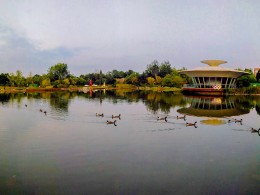 春江水暖鸭先知